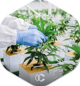Cannergrow